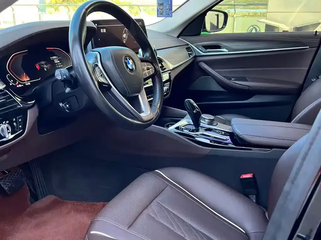 BMW 5 Series 2021 из CN, фото 3