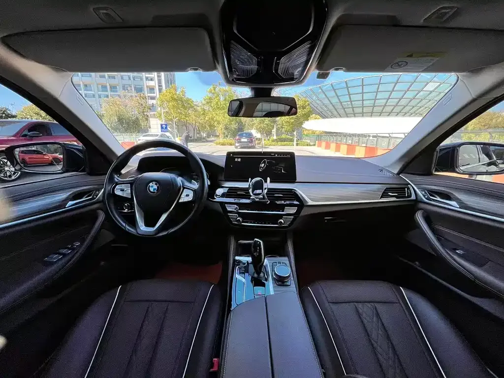 BMW 5 Series 2021 из CN, фото 4