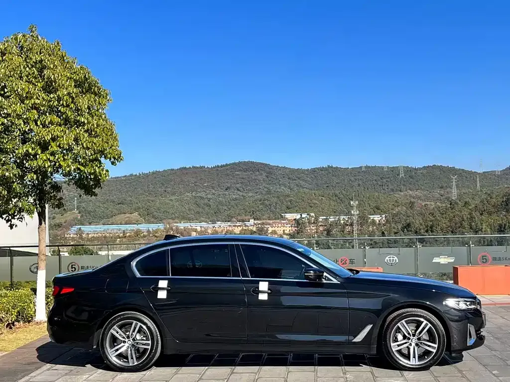 BMW 5 Series 2021 из CN, фото 5