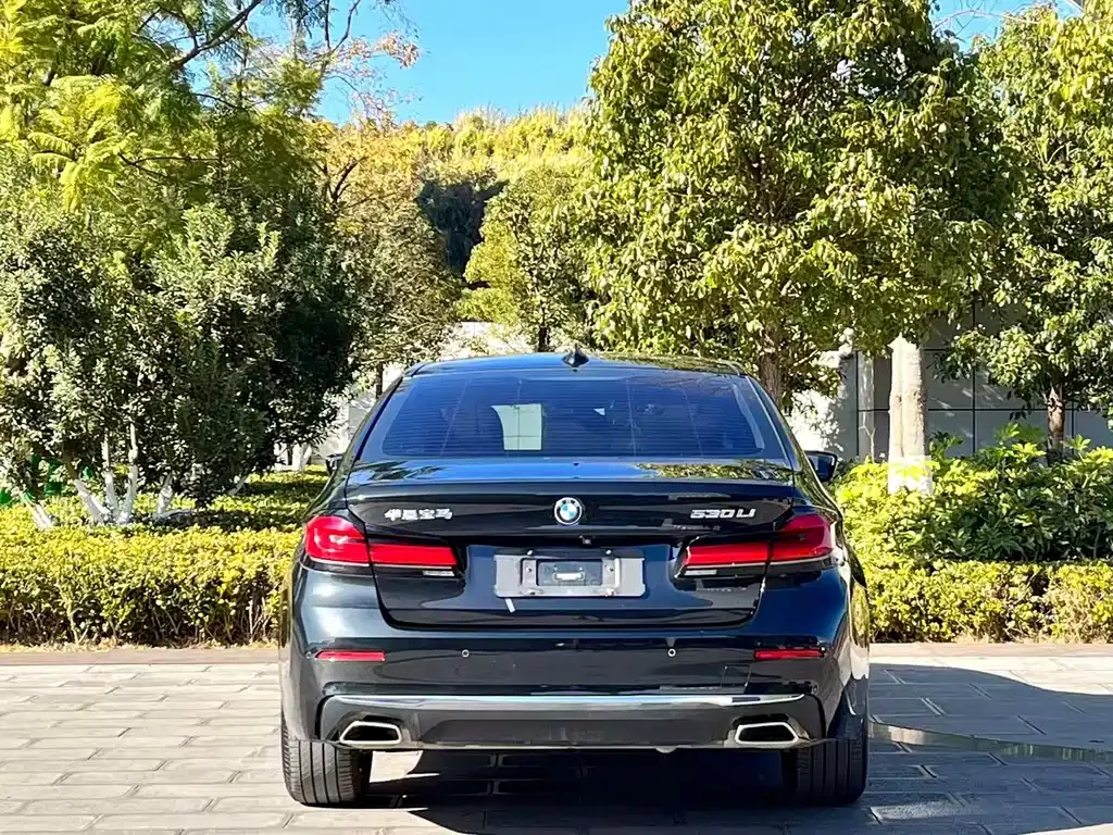 BMW 5 Series 2021 из CN, фото 10