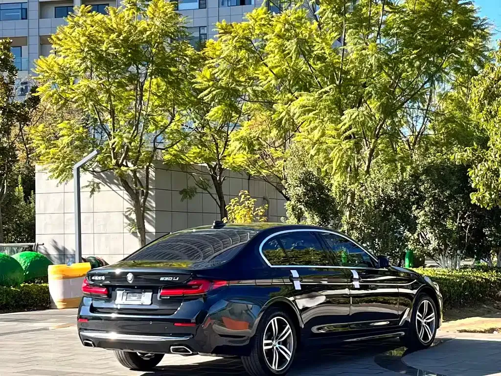 BMW 5 Series 2021 из CN, фото 7