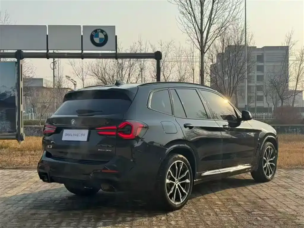 BMW X3 2023 из CN, фото 8