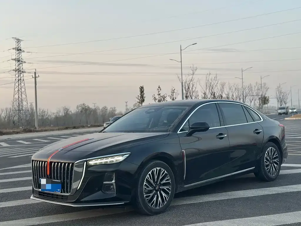 Hongqi H5 2024 из CN, фото 3