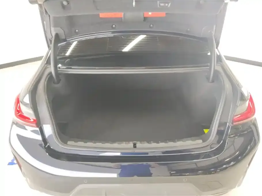 BMW 3 Series 2024 из CN, фото 2