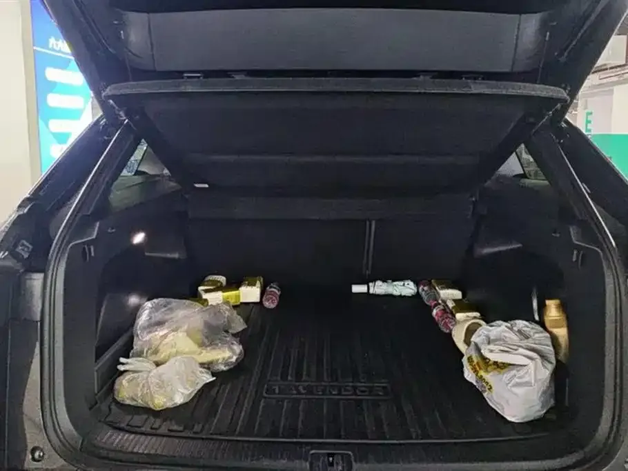 Volkswagen Tavendor 2023 из CN, фото 6