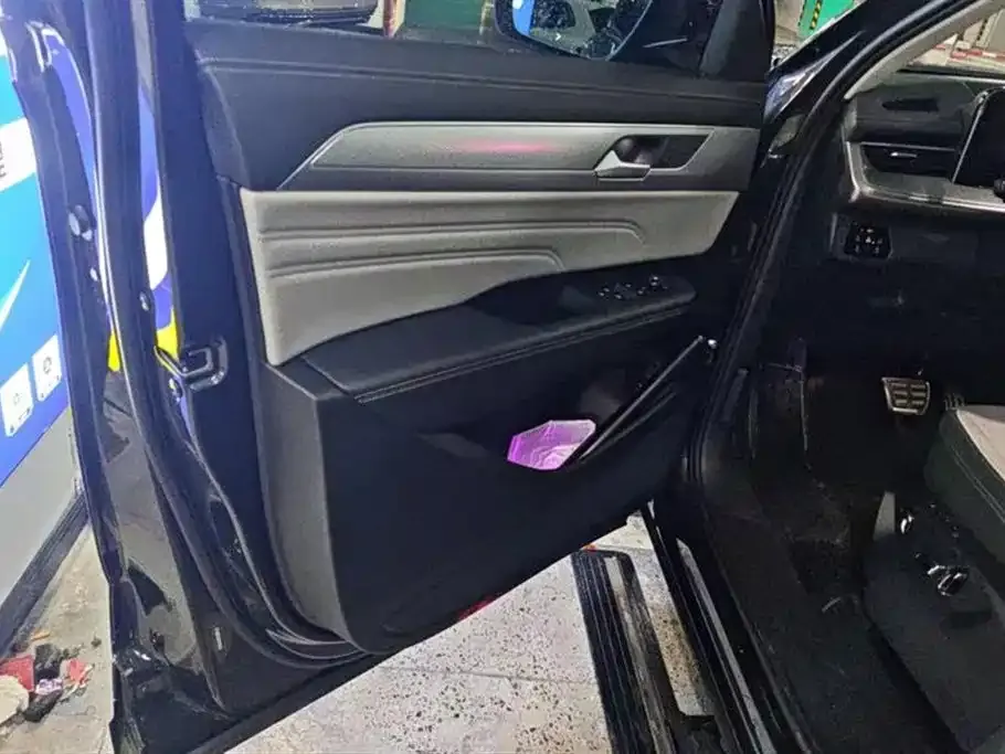Volkswagen Tavendor 2023 из CN, фото 7