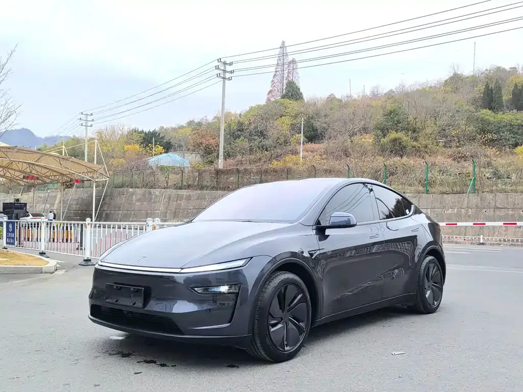 Tesla Model Y 2025 из CN, фото 1