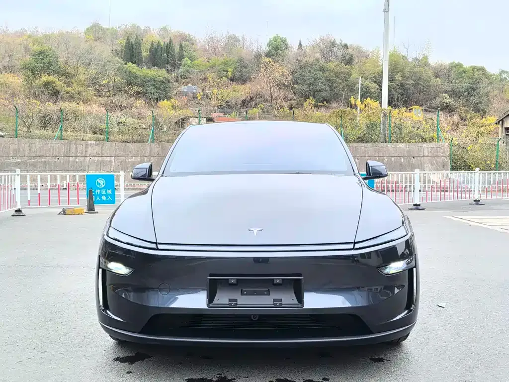 Tesla Model Y 2025 из CN, фото 4