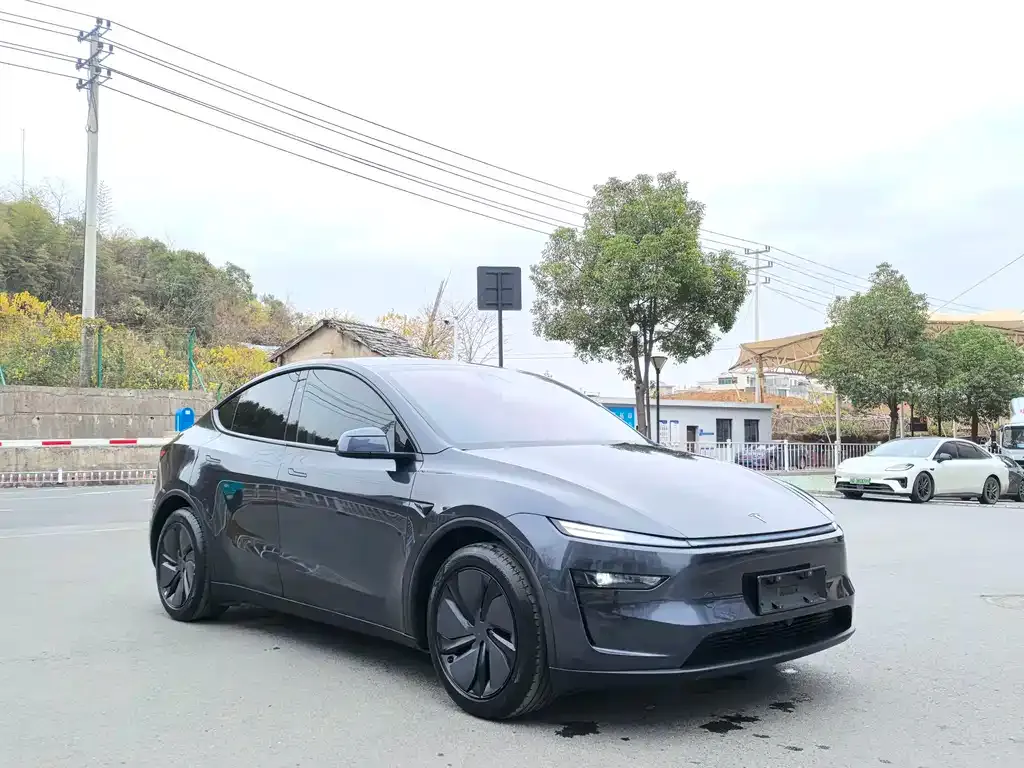 Tesla Model Y 2025 из CN, фото 9