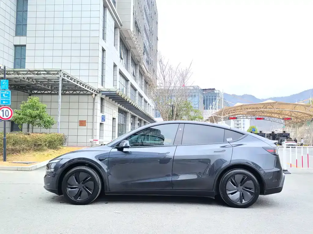 Tesla Model Y 2025 из CN, фото 6