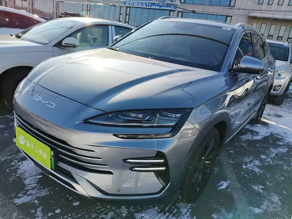 BYD PLUS New Energy 2024 из CN, фото 5