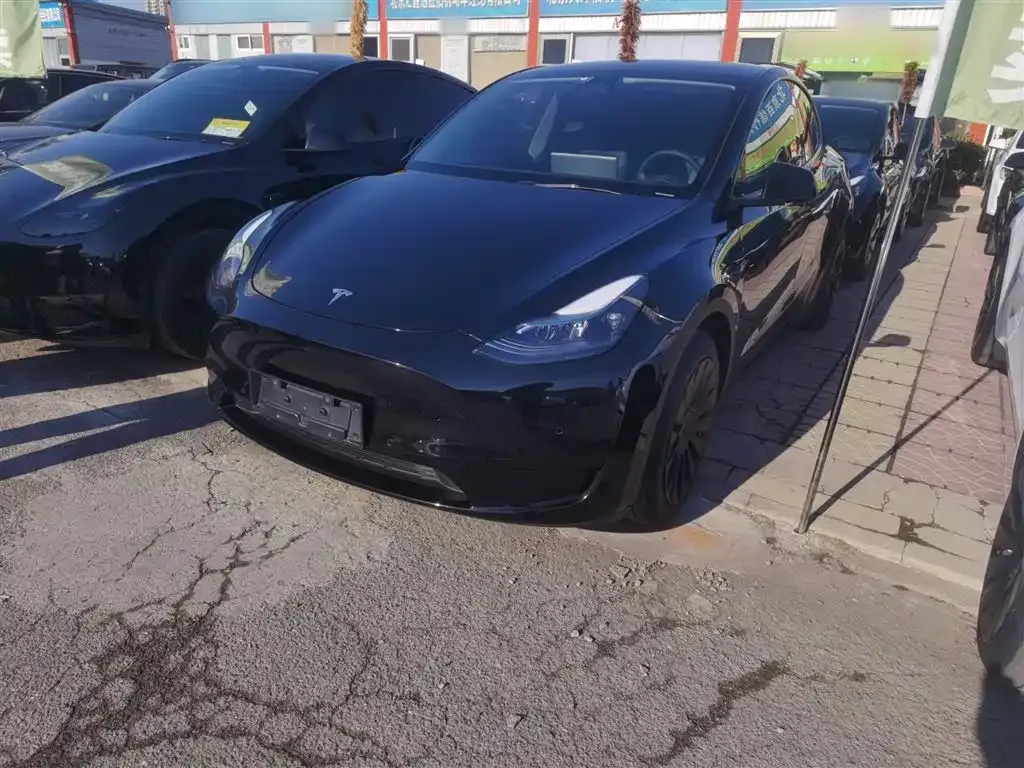 Tesla Model Y 2023 из CN, фото 1