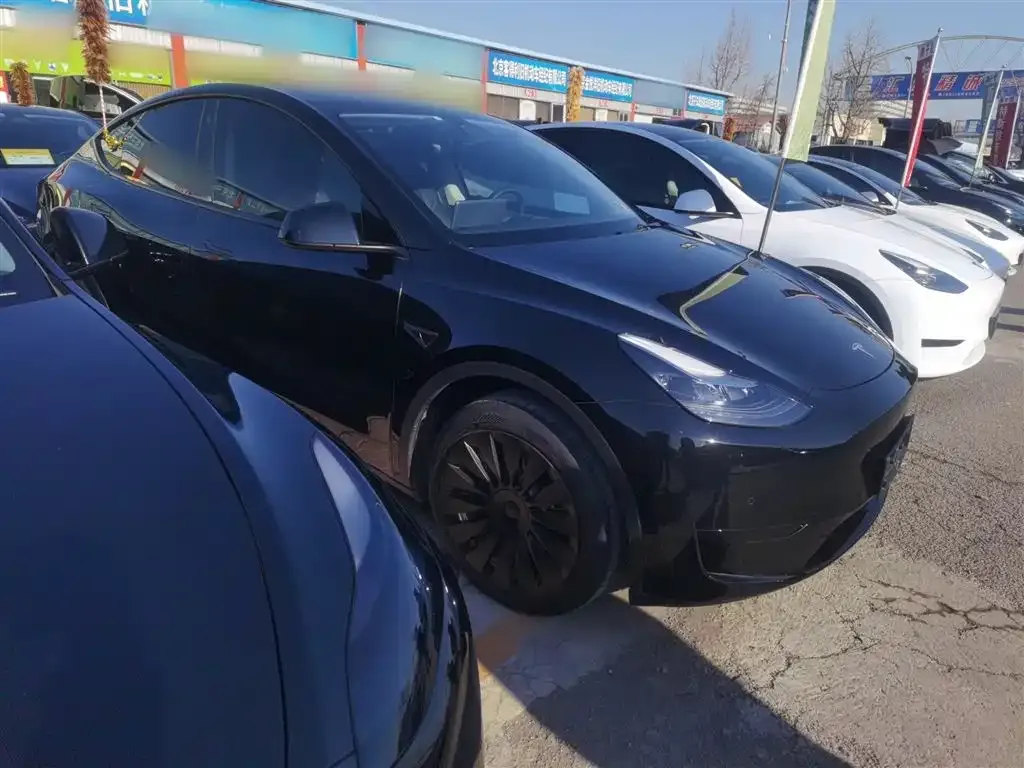 Tesla Model Y 2023 из CN, фото 7