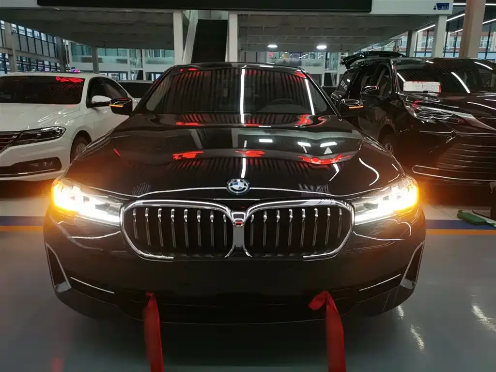 BMW 5 Series New Energy 2022 из CN, фото 2