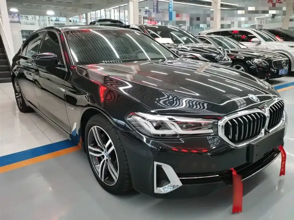 BMW 5 Series New Energy 2022 из CN, фото 6