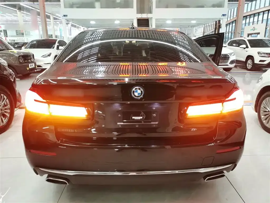 BMW 5 Series New Energy 2022 из CN, фото 9