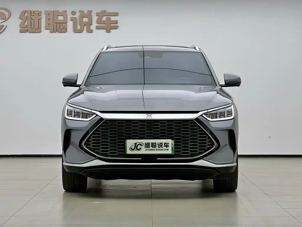 BYD PLUS New Energy 2022 из CN, фото 2