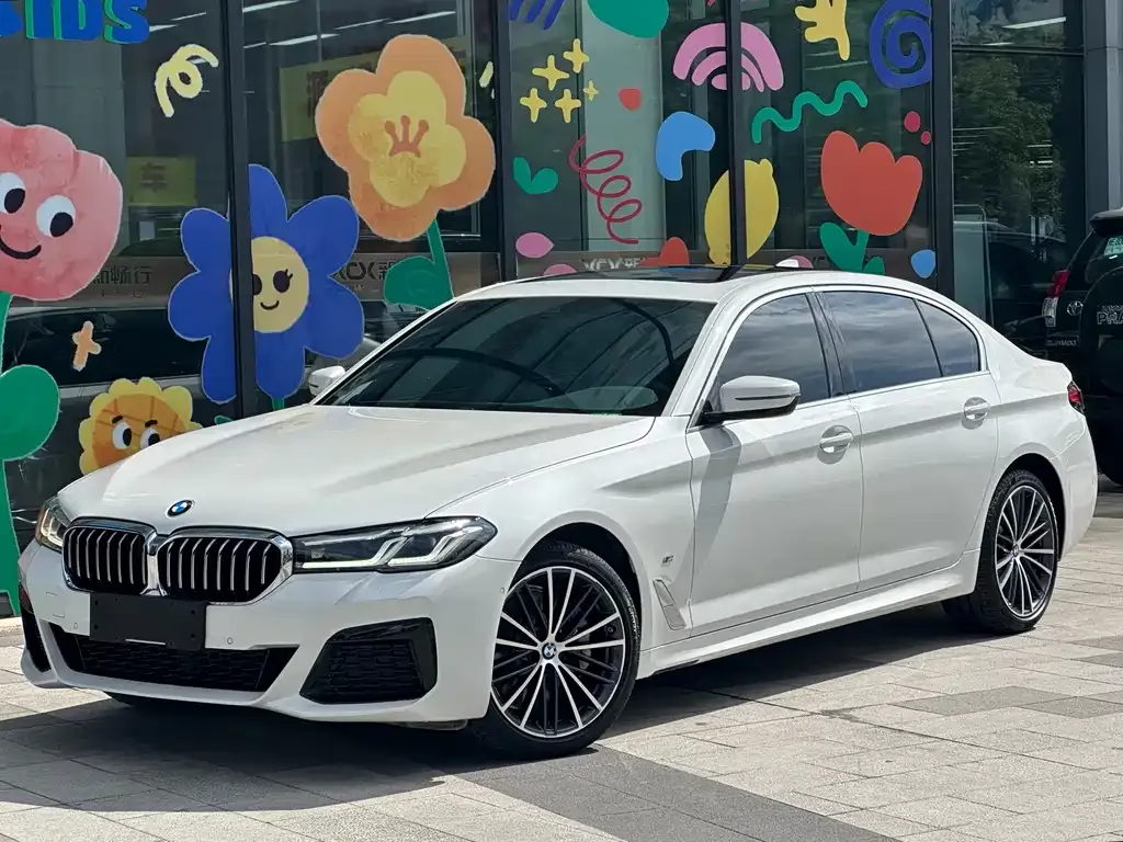 BMW 5 Series 2021 из CN, фото 1