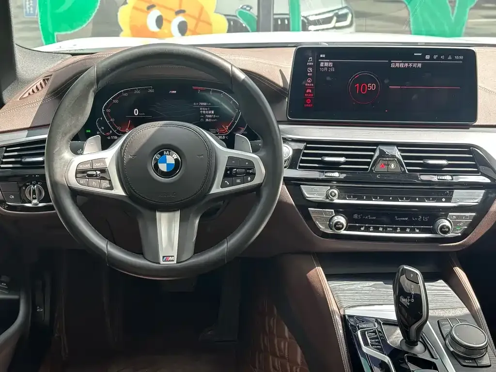 BMW 5 Series 2021 из CN, фото 4
