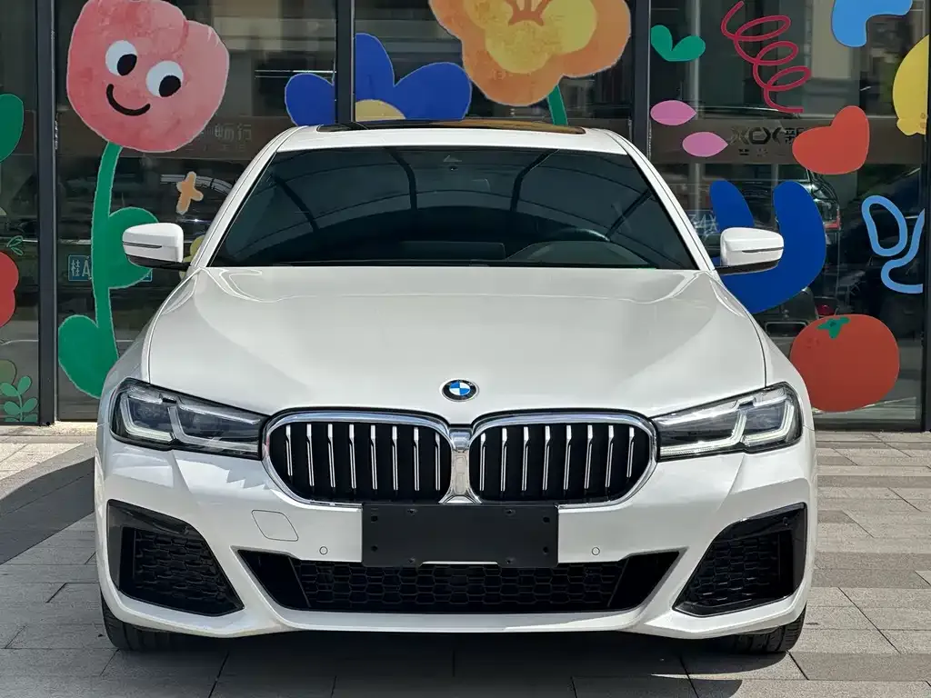BMW 5 Series 2021 из CN, фото 3