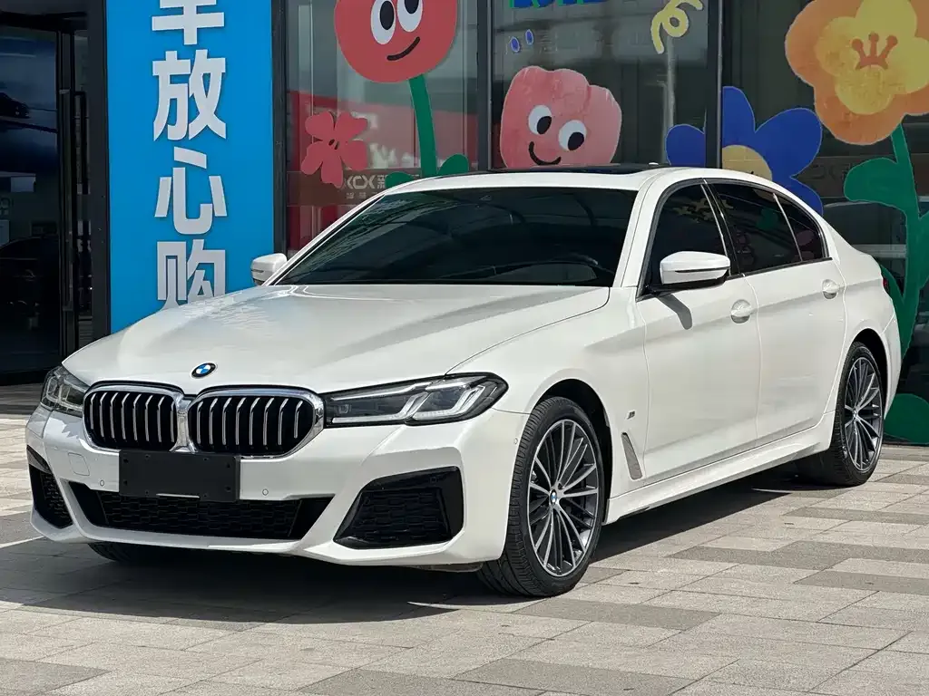 BMW 5 Series 2021 из CN, фото 7