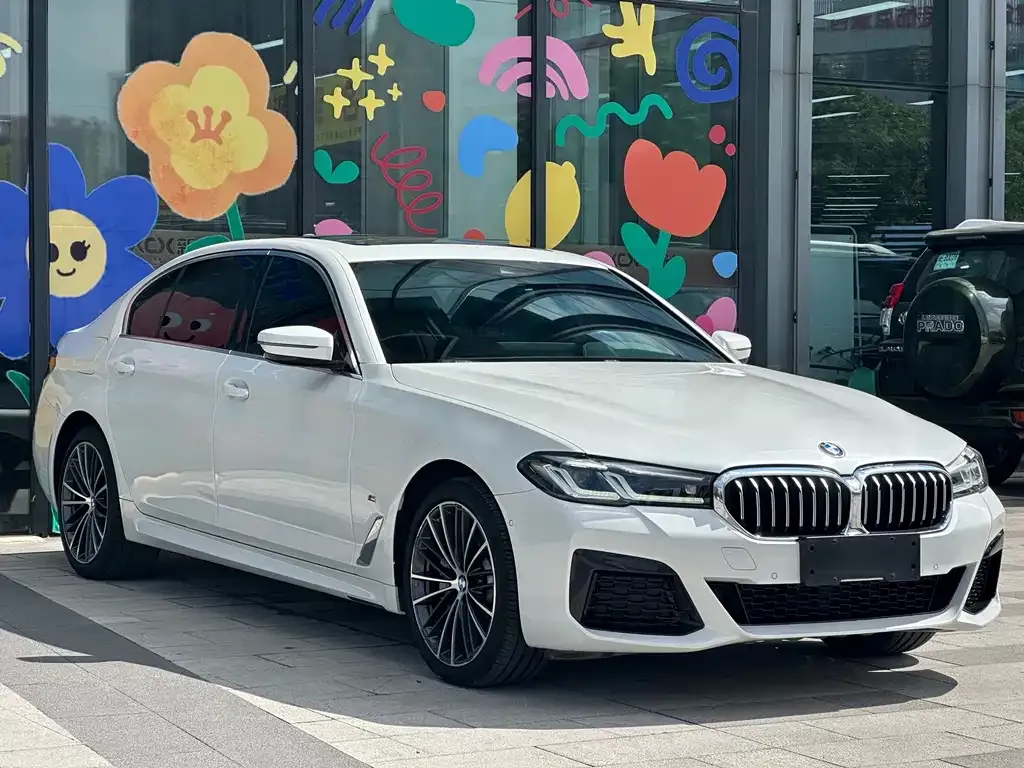 BMW 5 Series 2021 из CN, фото 9