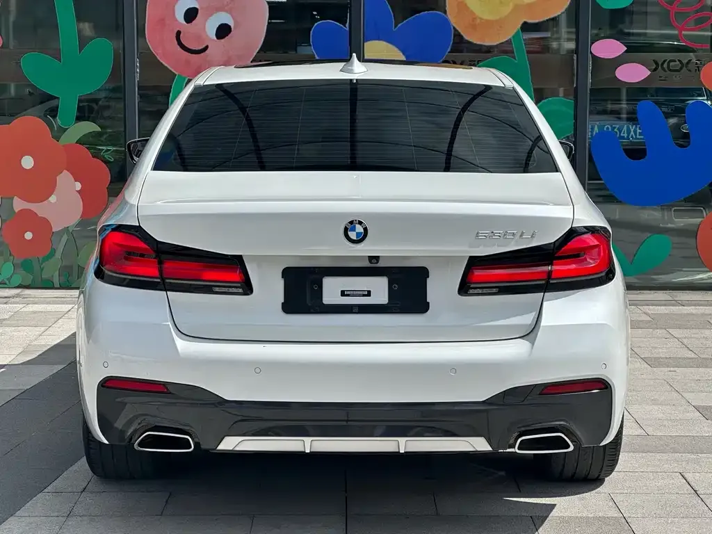 BMW 5 Series 2021 из CN, фото 10