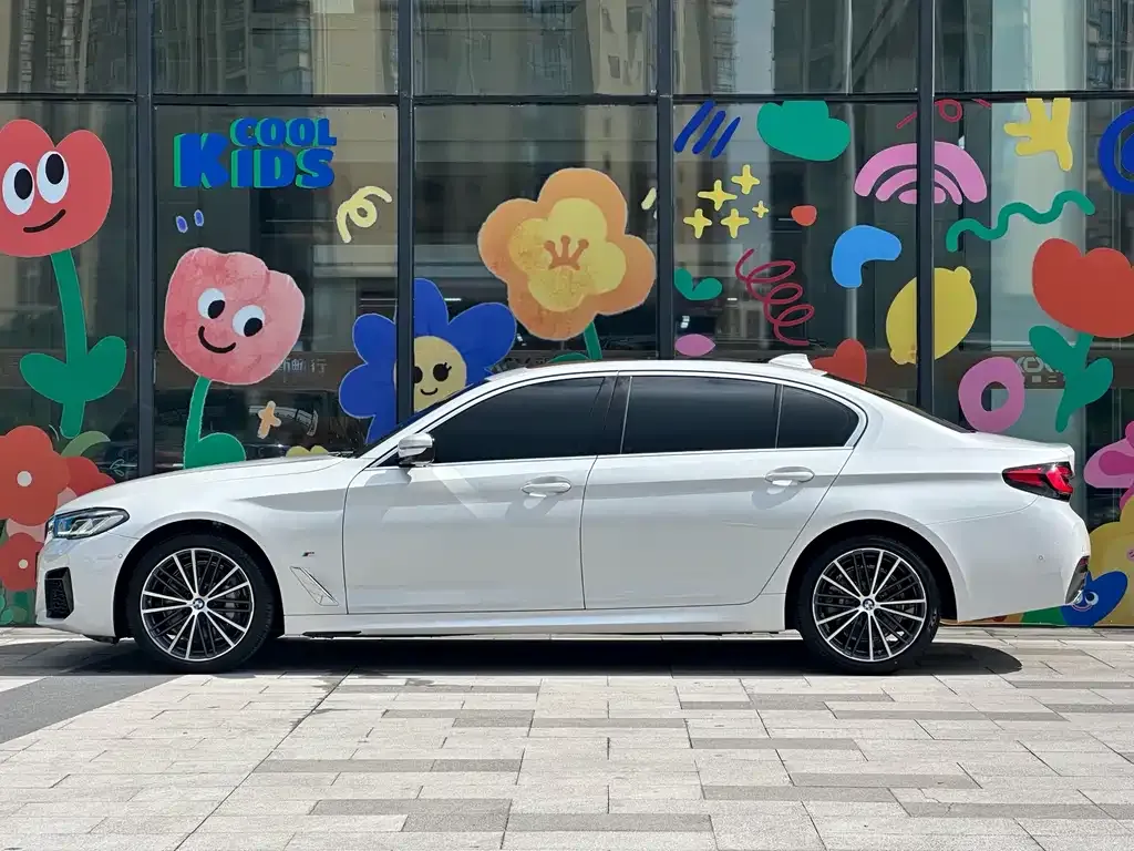 BMW 5 Series 2021 из CN, фото 8