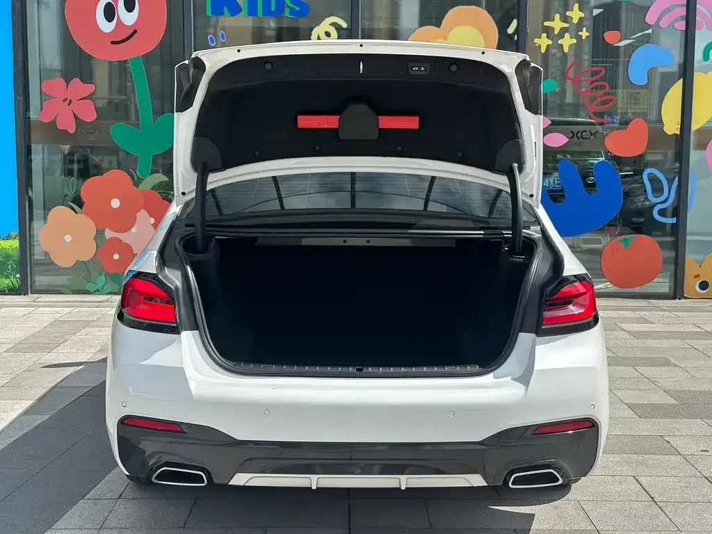 BMW 5 Series 2021 из CN, фото 6