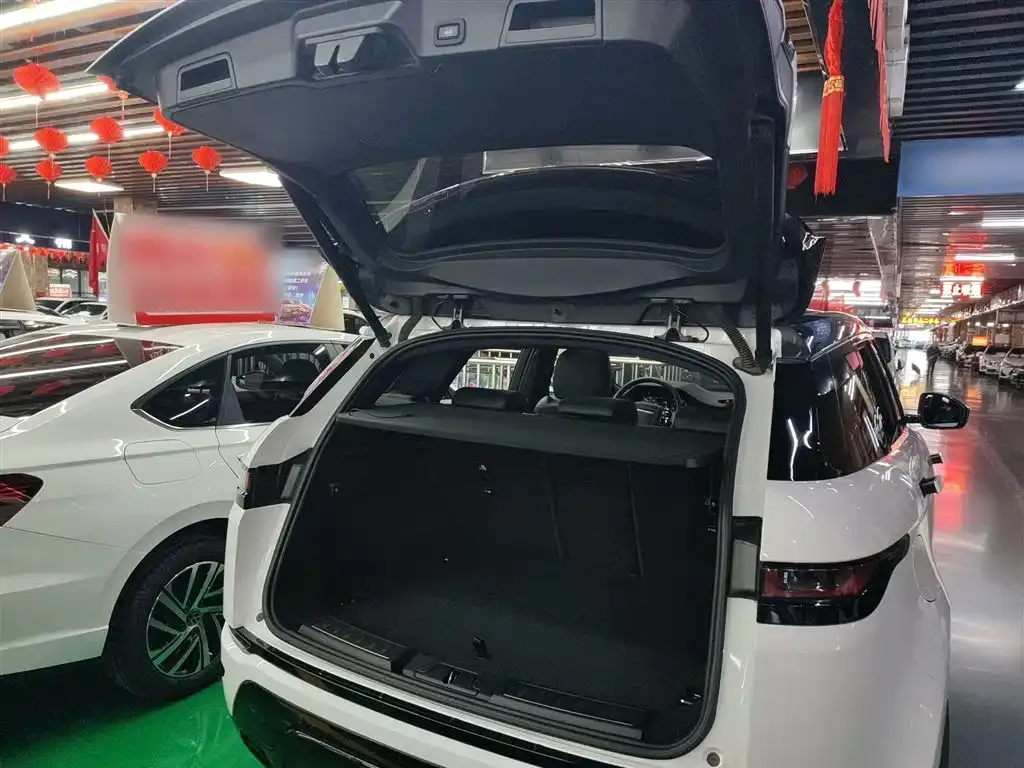 Land Rover Evoque 2021 из CN, фото 9