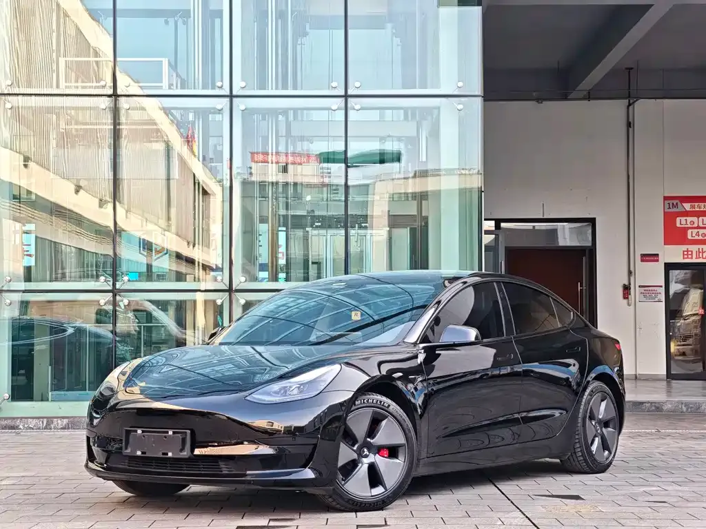 Tesla Model 3 2021 из CN, фото 1