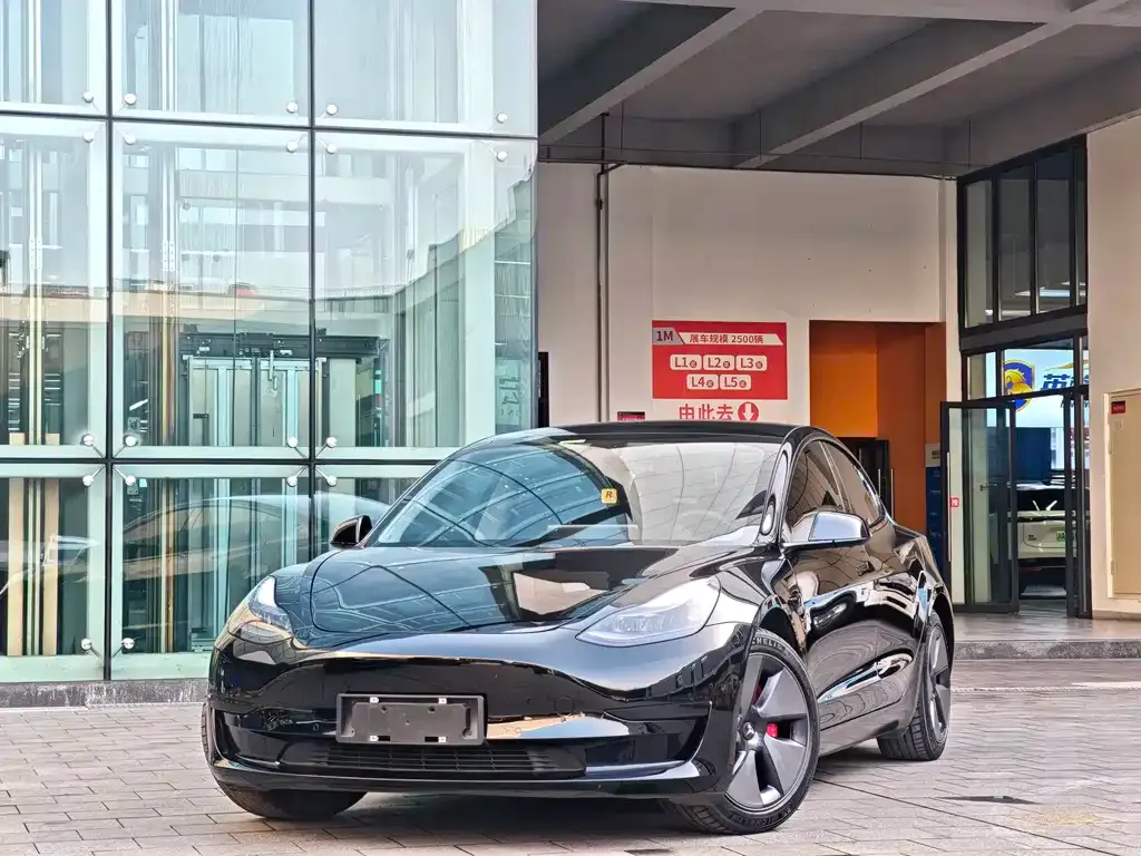 Tesla Model 3 2021 из CN, фото 3