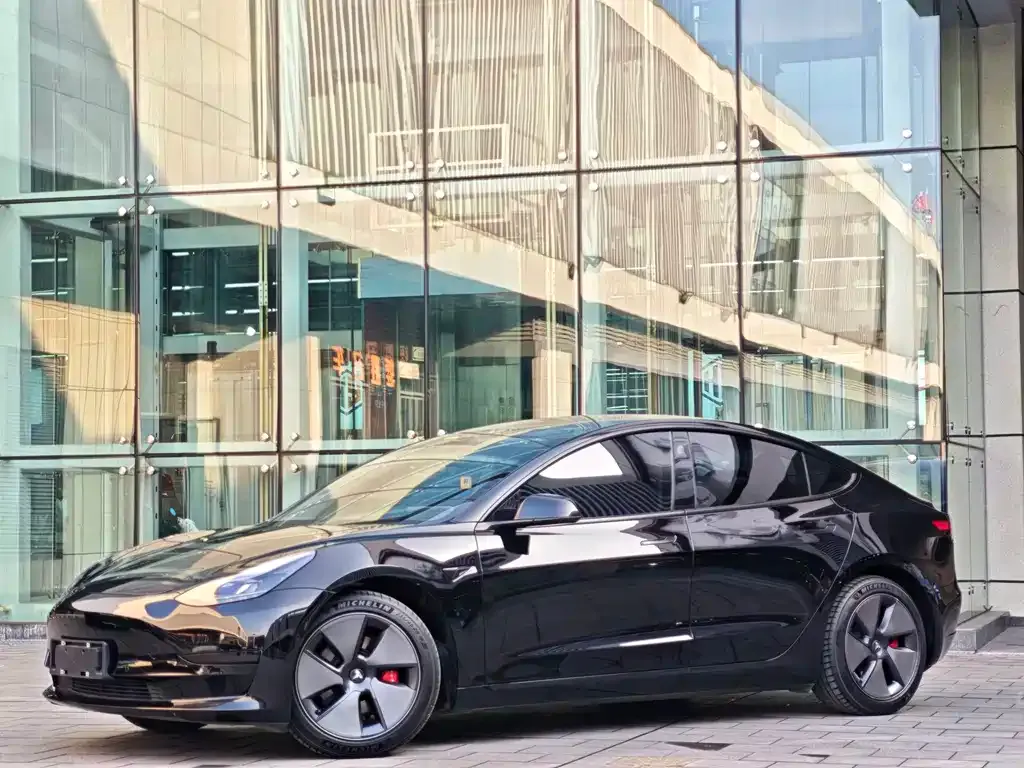 Tesla Model 3 2021 из CN, фото 5
