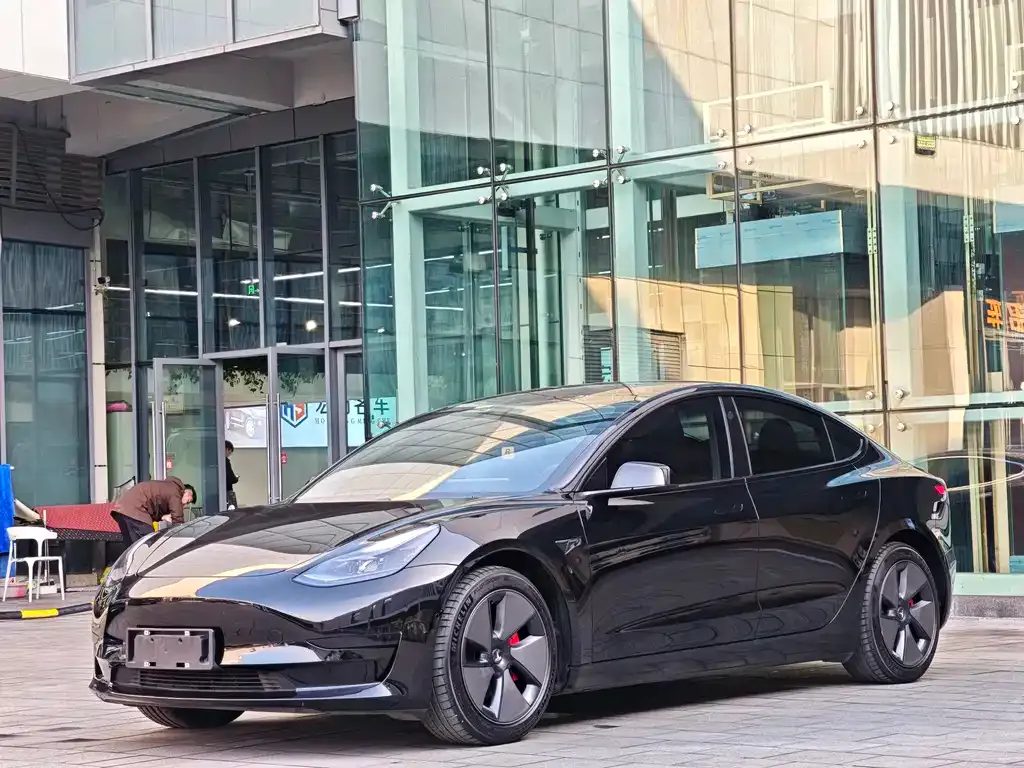 Tesla Model 3 2021 из CN, фото 2