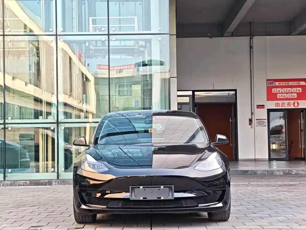 Tesla Model 3 2021 из CN, фото 6