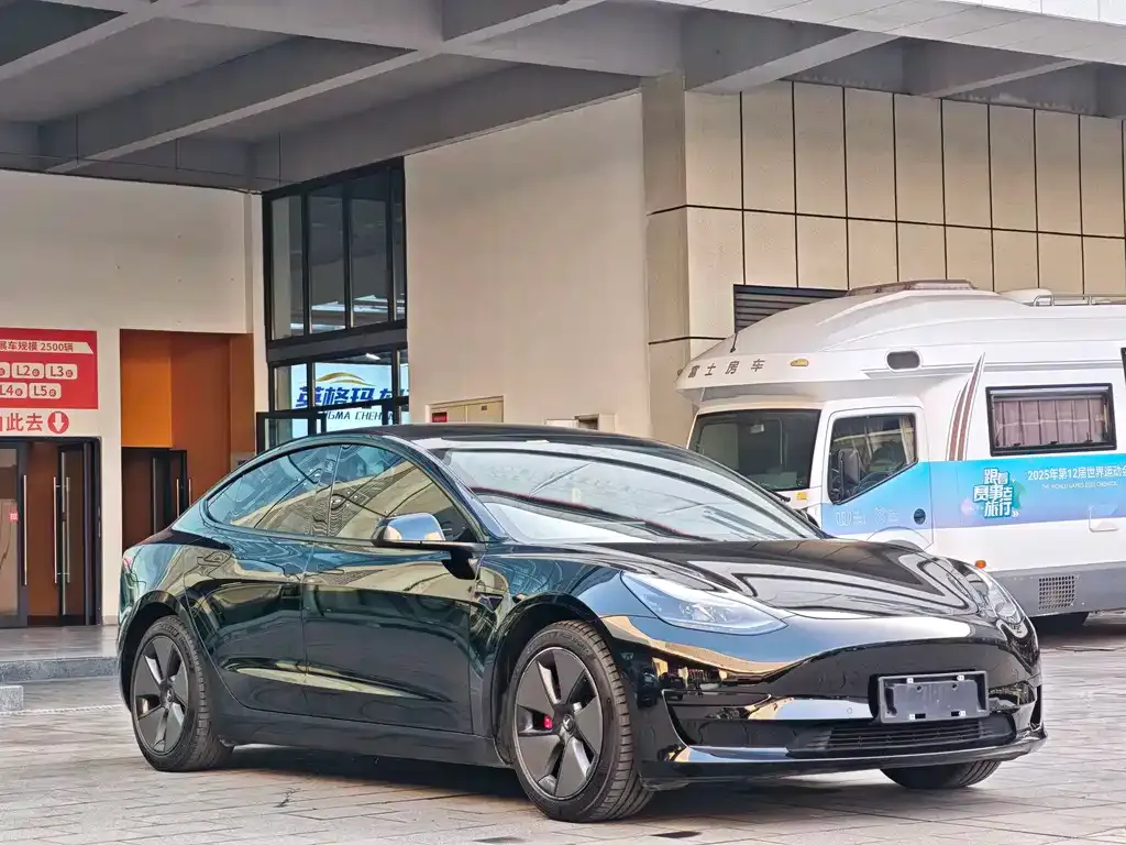 Tesla Model 3 2021 из CN, фото 4