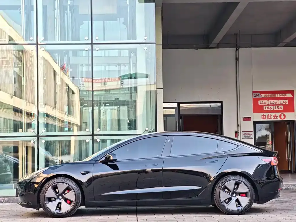 Tesla Model 3 2021 из CN, фото 9