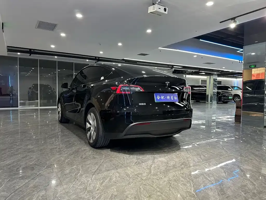 Tesla Model Y 2023 из CN, фото 10