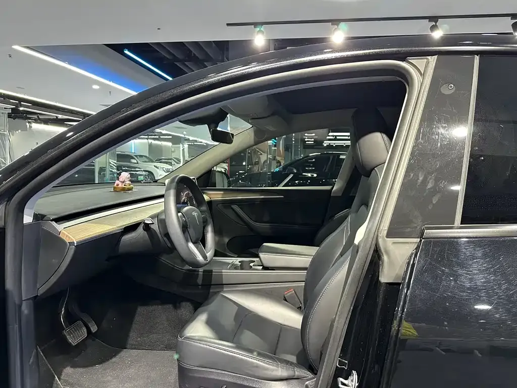 Tesla Model Y 2023 из CN, фото 4