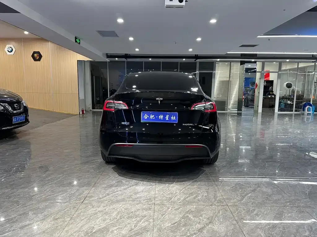 Tesla Model Y 2023 из CN, фото 9
