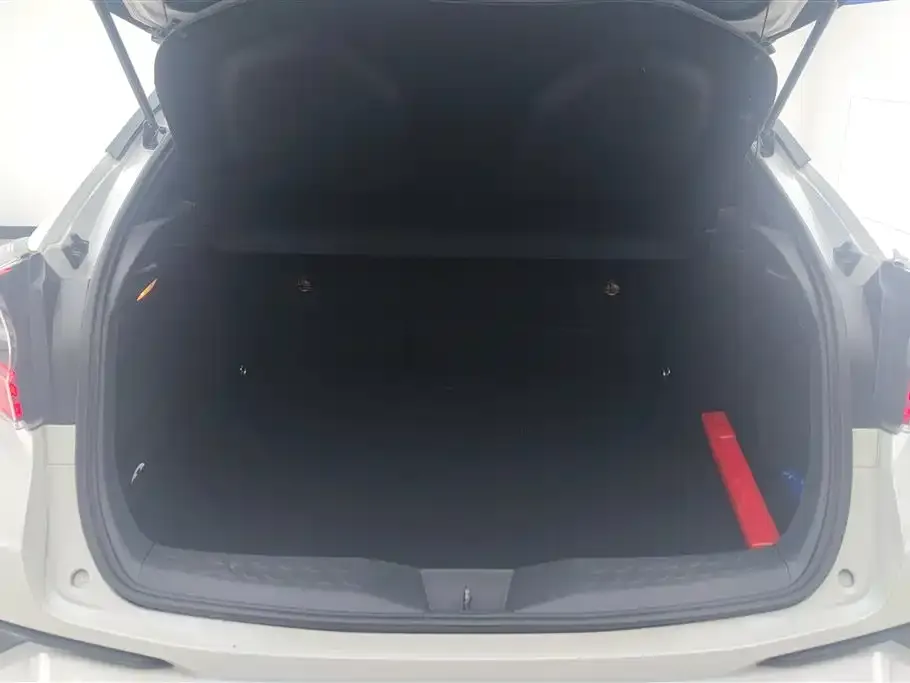 Toyota C-HR EV 2021 из CN, фото 5