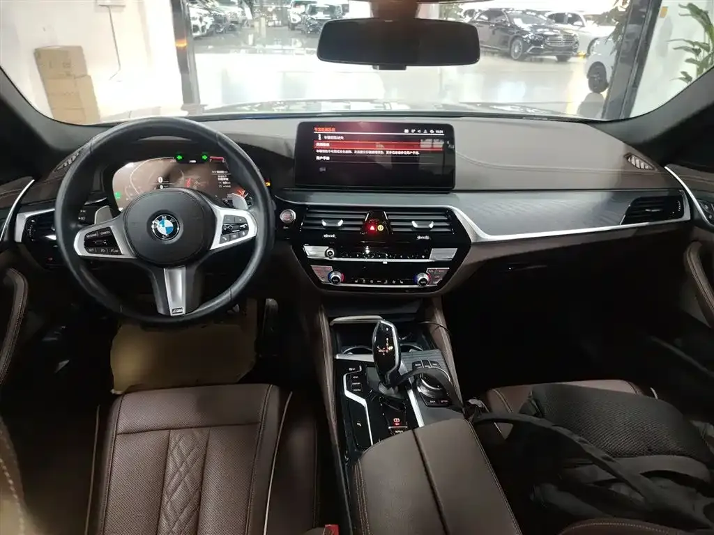 BMW 5 Series 2021 из CN, фото 6