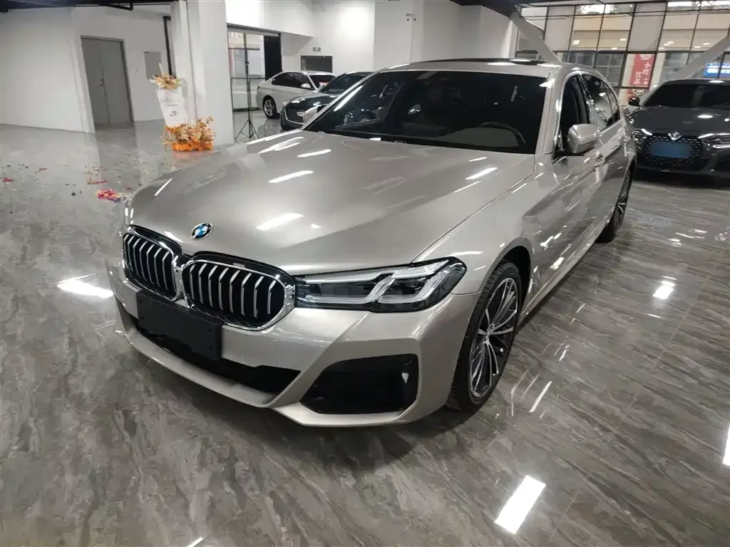 BMW 5 Series 2021 из CN, фото 8