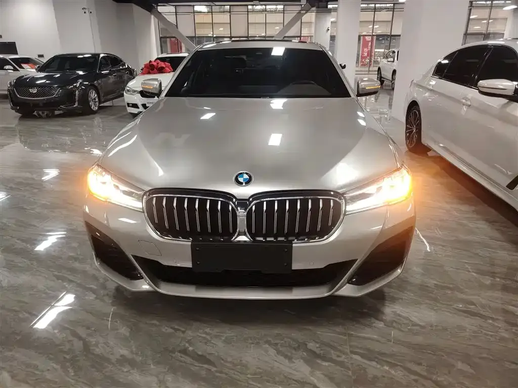 BMW 5 Series 2021 из CN, фото 4