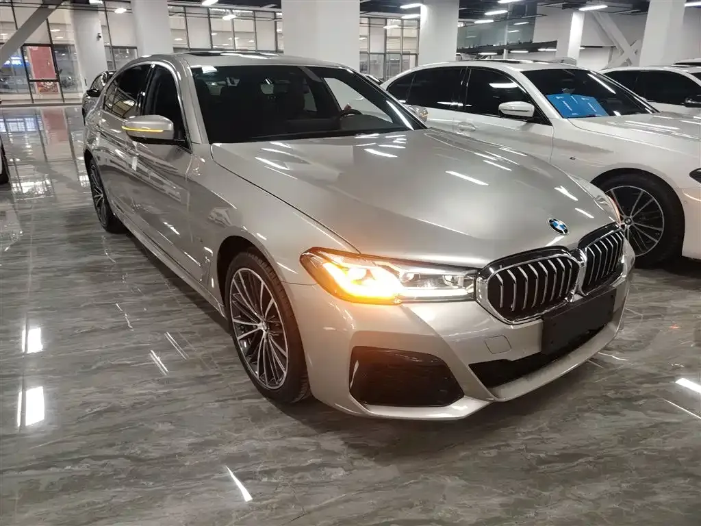 BMW 5 Series 2021 из CN, фото 9