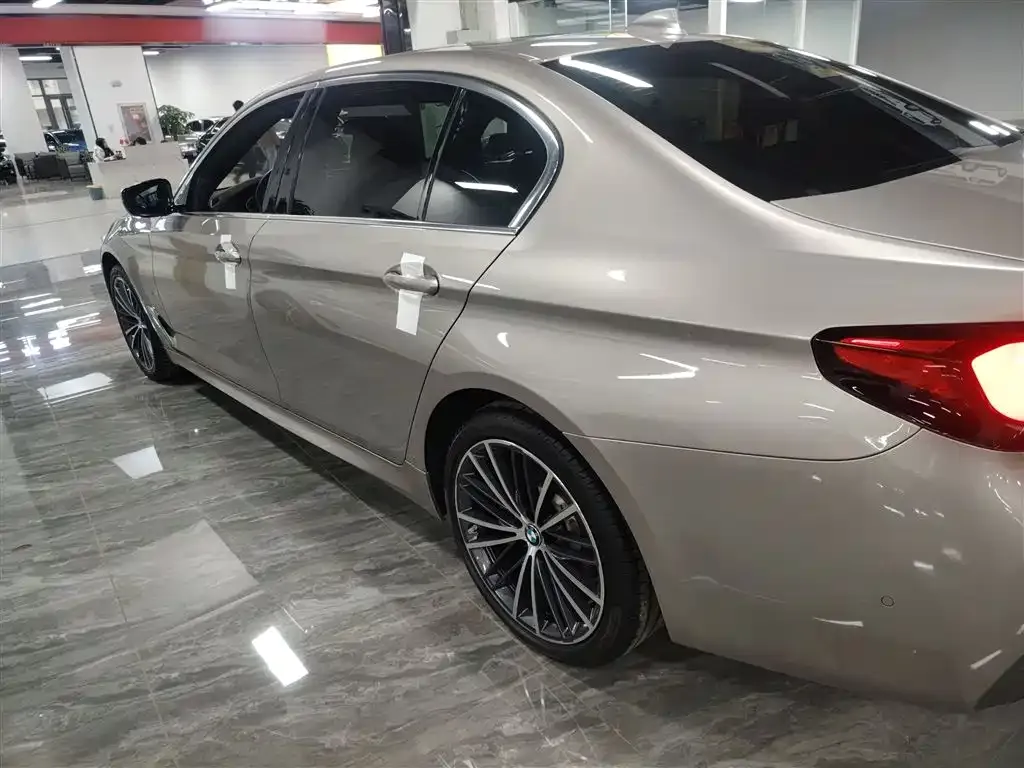 BMW 5 Series 2021 из CN, фото 7