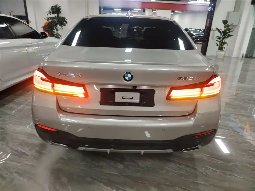 BMW 5 Series 2021 из CN, фото 5