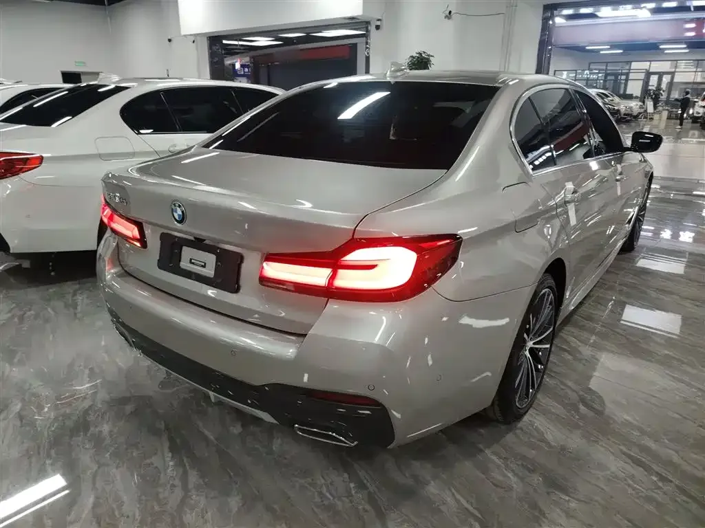 BMW 5 Series 2021 из CN, фото 10