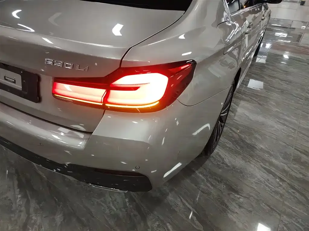 BMW 5 Series 2021 из CN, фото 3