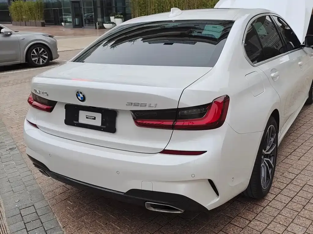 BMW 3 Series 2022 из CN, фото 3